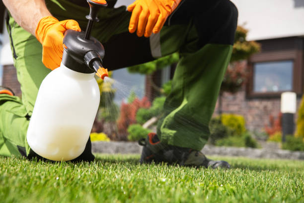Best Pest Removal Services  in Groveland, ID