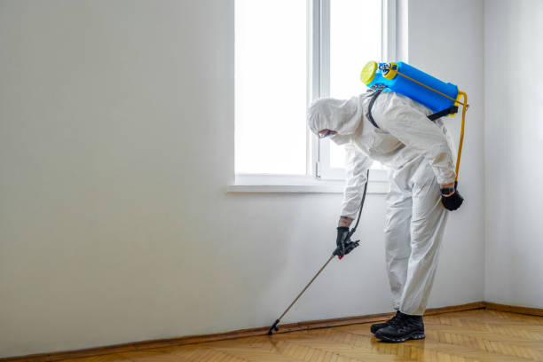 Best Local Pest Control Services  in Groveland, ID