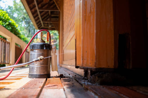 Best Mosquito Control Services  in Groveland, ID