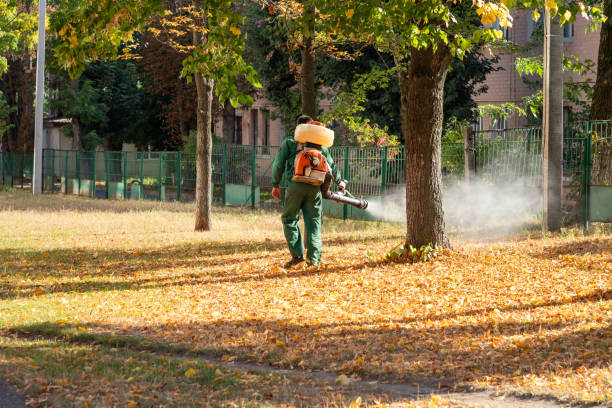 Best Wildlife Control Services  in Groveland, ID